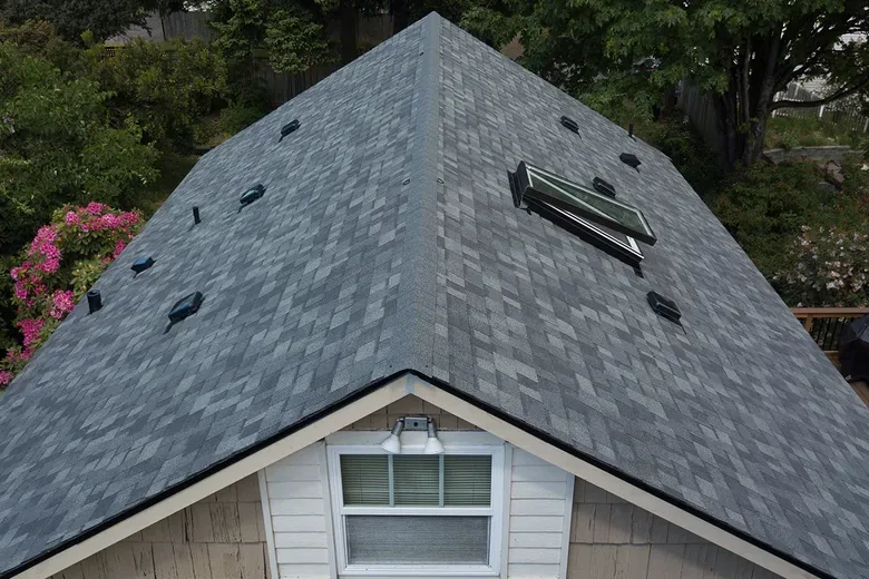 Skylight Repairs